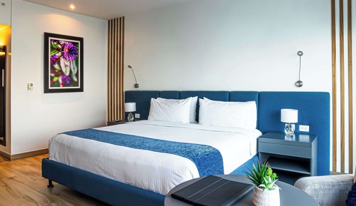 Room, 1 King Bed, River View