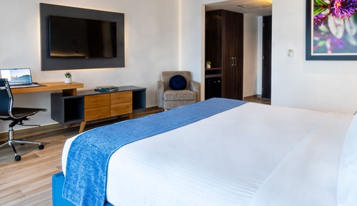 Room, 1 King Bed, City View