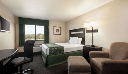 Room, 1 Queen Bed, Non Smoking