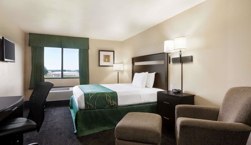 Room, 1 King Bed, Non Smoking