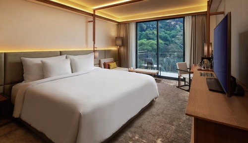 Club Room, 1 King Bed, Balcony, Garden View