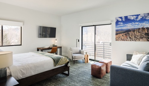 1 King Private Room, 1 Sleeper Sofa, Ensuite Bathroom, Balcony