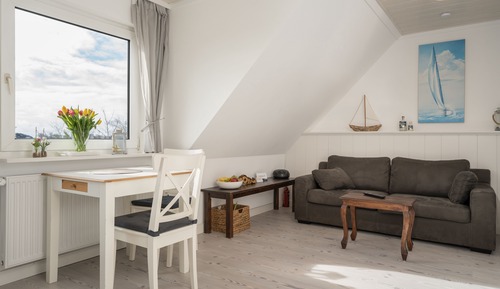Basic Apartment