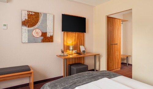 Superior Single Room