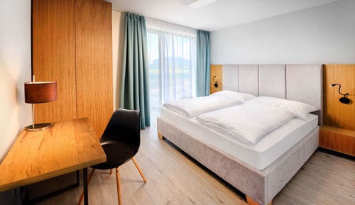 Standard Apartment, 1 Queen Bed (4)
