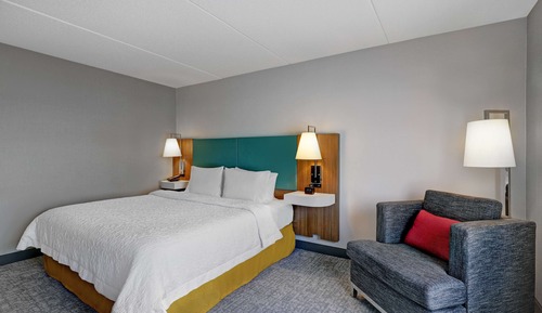 Room, 1 King Bed, Accessible, Non Smoking (Mobility & Hearing, Roll-in Shower)