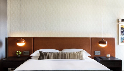 Room, 1 King Bed