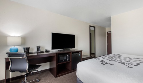 Standard Room, 1 King Bed, Non Smoking
