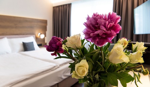 Superior Room, 1 King Bed, Park View