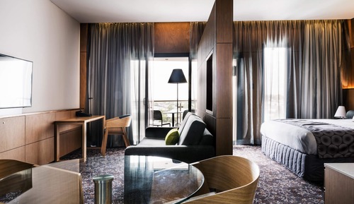 Executive Suite, 1 King Bed with Sofa bed