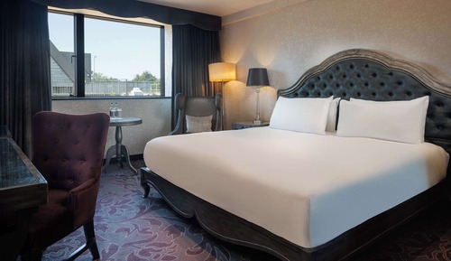 Room, 1 King Bed