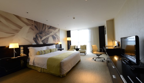 Superior Room, 1 King Bed