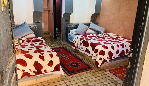 Family Double or Twin Room
