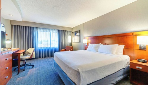 Room, 1 King Bed with Sofa bed, Non Smoking (Mobility/Hearing Access, Roll-In Shwr)