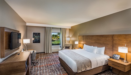 Room, 1 King Bed