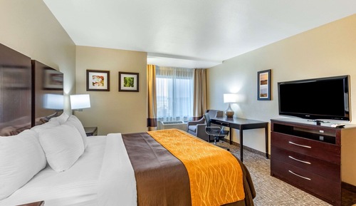Standard Room, 1 King Bed, Accessible, Non Smoking