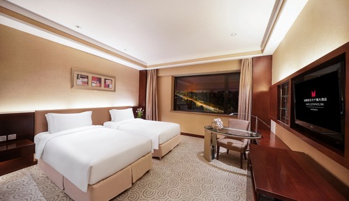 Executive Twin Room