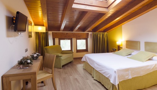 Double or Twin Room