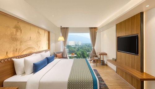 Deluxe Room, 1 Double Bed