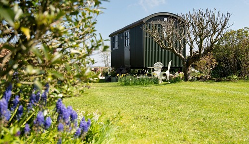 Luxury Room, Ensuite (Cottage Shepherds Hut)