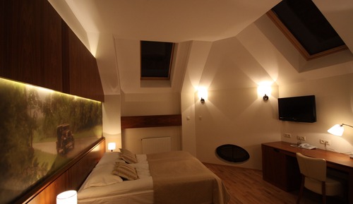 Standard Double Room (King size)