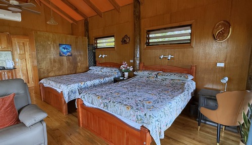 Luxury Studio Suite, 2 Queen Beds, Kitchen, Beachfront