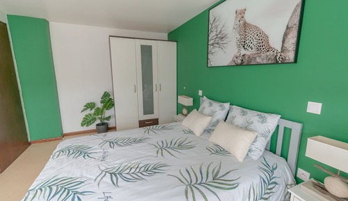 Trendy Green Apartment