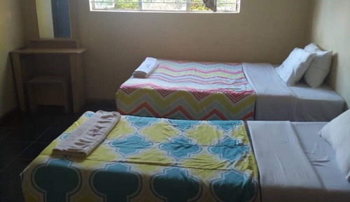 Basic Twin Room