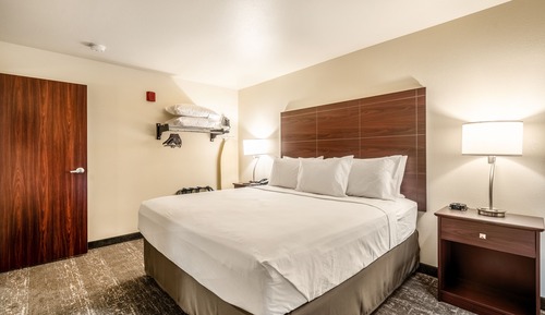 Suite, 1 King Bed with Sofa bed, Non Smoking