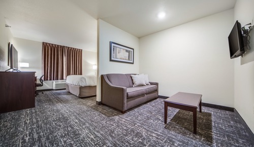 Studio Suite, 1 King Bed with Sofa bed, Accessible, Non Smoking (Audible/Visual)