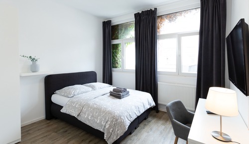 Classic Double Room