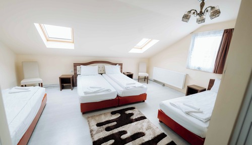 Room, Multiple Beds