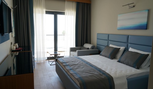 Standard Room, Mountain View