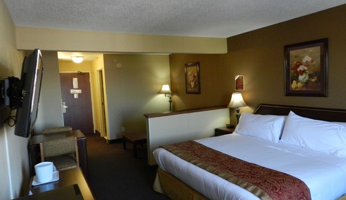 Junior Studio Suite