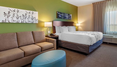 Suite, 1 King Bed with Sofa bed, Non Smoking