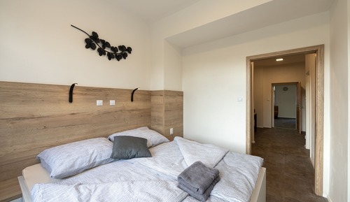 Deluxe Apartment, 1 Bedroom, Kitchen (2)