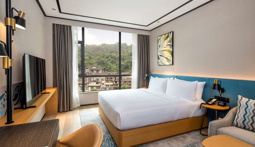City Room, 1 King Bed, City View