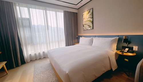 Basic Room, 1 King Bed, Accessible