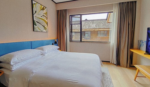 Basic Room, 1 King Bed