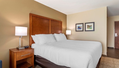 Standard Room, 1 King Bed, Non Smoking