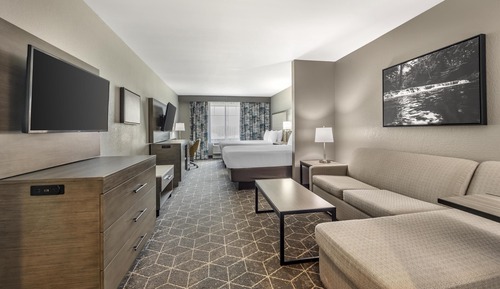 Suite, Multiple Beds, Non Smoking, Refrigerator & Microwave (with Sofabed)