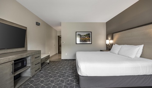 Standard Room, 1 King Bed, Non Smoking, Refrigerator & Microwave (Walk-in Shower)