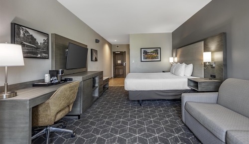 Standard Room, 1 King Bed, Accessible, Bathtub (with Single Sofabed;Larger Room)