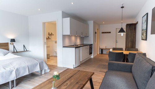 Comfort Apartment