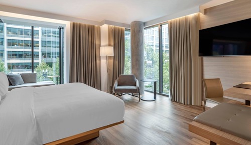 Basic Room, 1 King Bed, Corner (Mobility Accessible, Roll-in Shower)