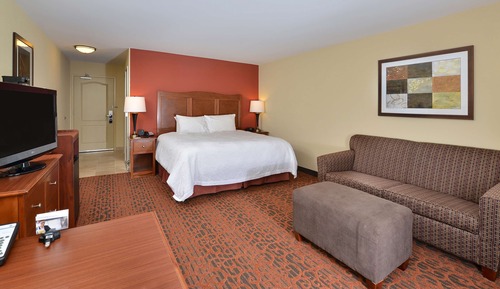 Room, 1 King with Sofabed, Hearing Accessible