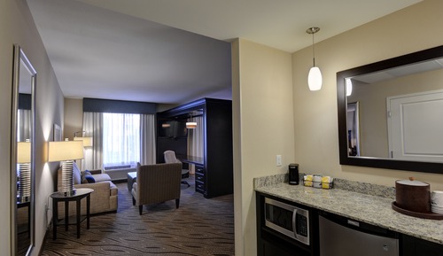 Studio Suite, 1 King Bed
