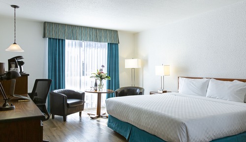 Room, 1 King Bed
