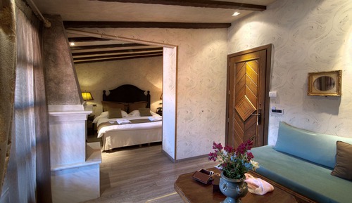 Executive Suite, Fireplace, Mountain View