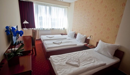 Basic Triple Room